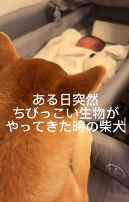 赤ちゃんとおもちくん