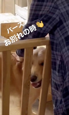 あっという間に