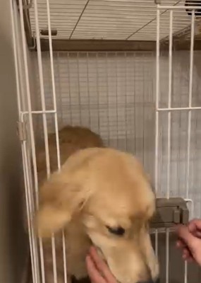 出ようとするかやちゃん