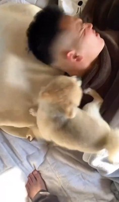 顔をしかめて犬と反対の方向を向く飼い主