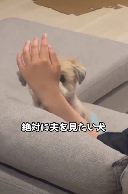 視界を遮るママ