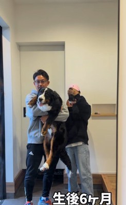 ダンボくんの成長⑩