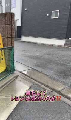 完全に隠れてます