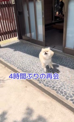 ますお君の熱烈歓迎4