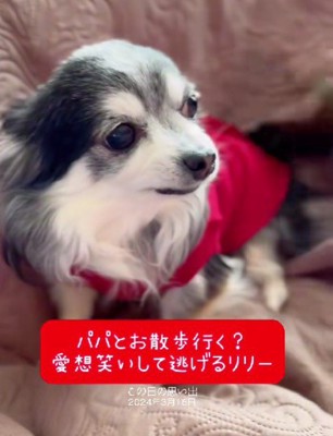 「行きたくない…」