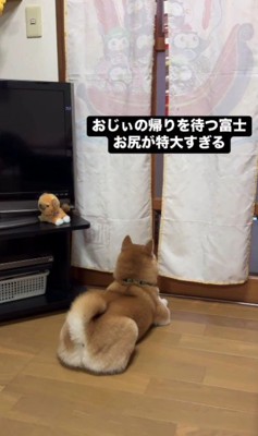 おじいちゃんのお出迎え