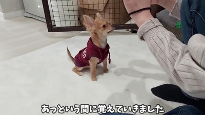 無邪気な姿に癒される日々…