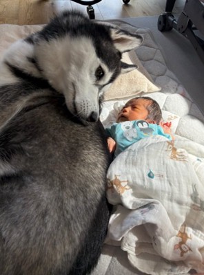 優しく見つめるレイルちゃん