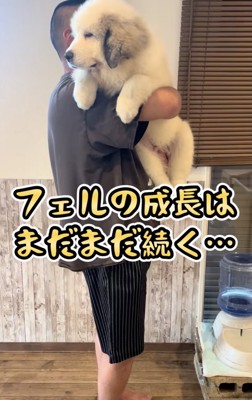 大きくなぁれ…！