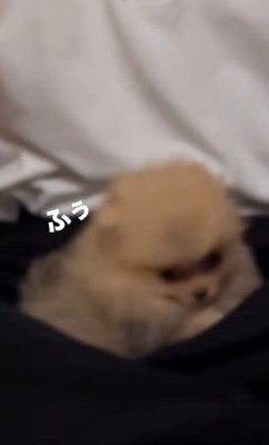 さっそく甘えん坊モード♡