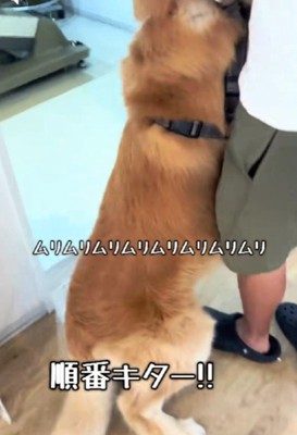 ビビりながら診察へ