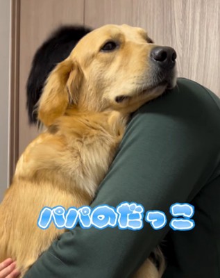 男性に抱っこされている大型犬