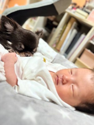 一緒にお昼寝♪