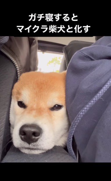 そのまま寝落ち