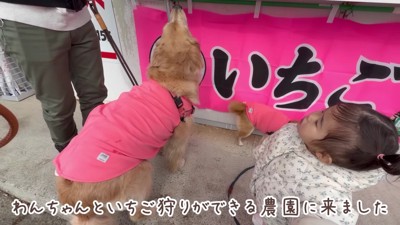 みんなでいちご狩りへ