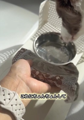 ピエナちゃんにトレーニングするママ