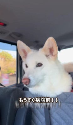 病院を通り過ぎたら…