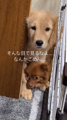 掃除機を操る黒幕の正体に気が付いてしまったようです
