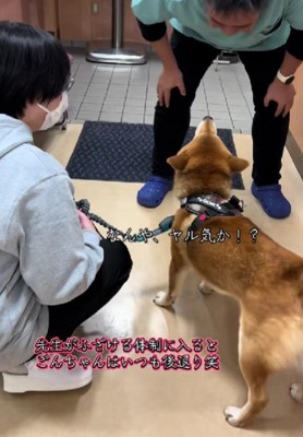 「お前には関係ない！」