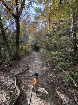 山道を登るエマちゃん2