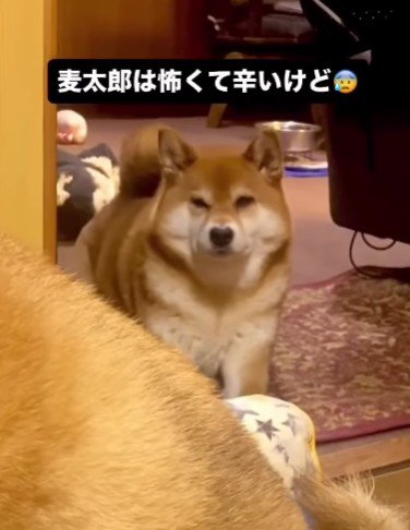 「心配だな…」