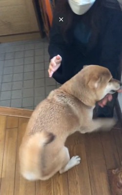 お姉ちゃんに飛びつく朔くん