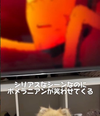 アニメを見ていたら…