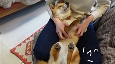 また出ちゃった…