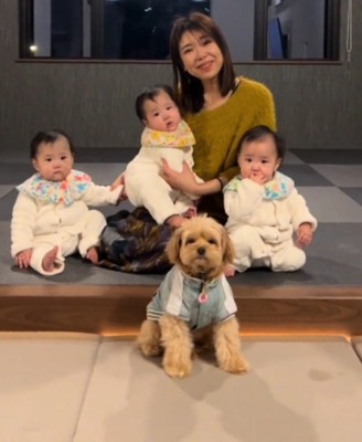 3人の赤ちゃんと女性の前に座ってカメラを見つめる犬