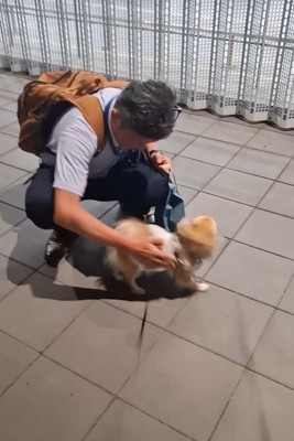 CoCoちゃんとパパさんの再会7