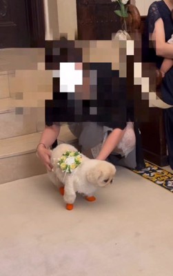 「出番が来たよ！」