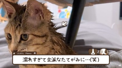 首の後ろはビショビショに