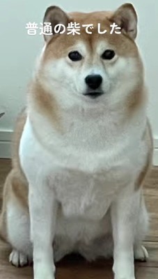 「豆」じゃない!!