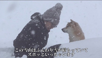 雪の中で向き合う犬と飼い主