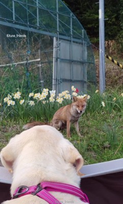 一定の距離を保ちながら…