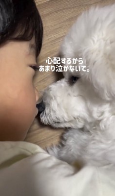 「元気出してね」