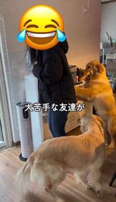 友人が遊びに来た