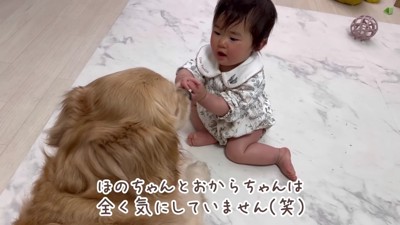 気にしない2人