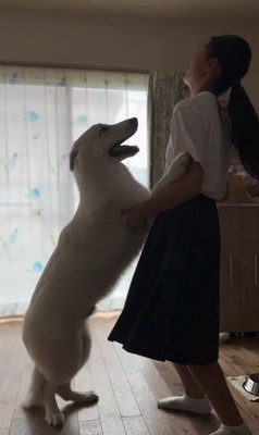 お姉ちゃん帰宅時のまる君