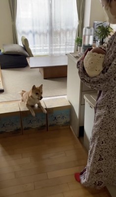 ママが帰ってきた！