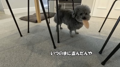 怒られた