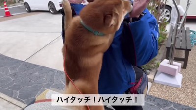 ハイタッチをするのが習慣