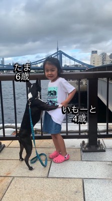 水辺にやってきた犬と女の子