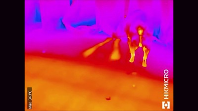 みるみるピンク色に…