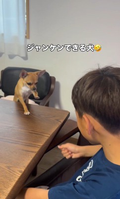 あん子ちゃんもお手々を前に！