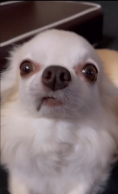 寝起きのありすちゃん5