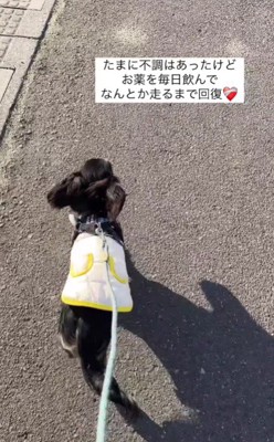 こんなに元気を取り戻したよ！