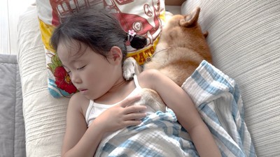 寄り添ってお昼寝
