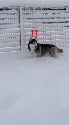 おこめくんが気付いて…