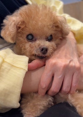 頑張り屋さんなふわちゃんでした